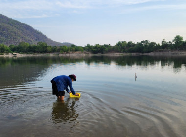 แหล่งน้ำ แหล่งอาหาร ..... หุบกะพง พารามิเตอร์รูปภาพ 1