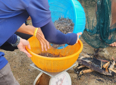 แหล่งน้ำ แหล่งอาหาร ..... หุบกะพง พารามิเตอร์รูปภาพ 11