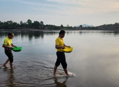 แหล่งน้ำ แหล่งอาหาร ..... หุบกะพง พารามิเตอร์รูปภาพ 15