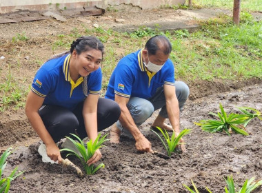 จากเมนูซิกเนเจอร์ สู่การปรับปรุงพื้นที่เพื่อปลูกวัตถุดิบหลัก พารามิเตอร์รูปภาพ 6