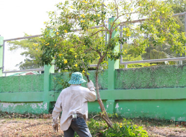 23 เมษายน 2567 จัดกิจกรรม “Big Cleaning Day” พารามิเตอร์รูปภาพ 3