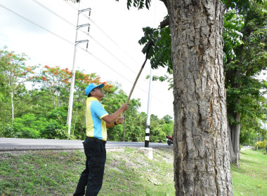 วันที่ 22 พฤษภาคม 2568 จิตอาสาพัฒนา หน่วยงาน พารามิเตอร์รูปภาพ 2