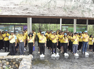 วันที่ 20 กรกฎาคม 2568 “จิตอาสารักษ์ป่าชายเลน” พารามิเตอร์รูปภาพ 4