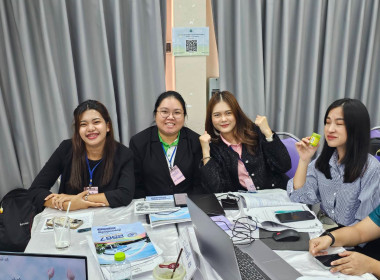 วันที่ 23 กรกฎาคม 2568 ... พารามิเตอร์รูปภาพ 11