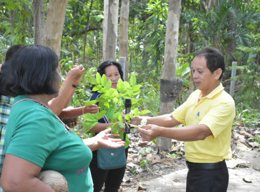 วันที่ 26 กรกฎาคม 2568 เรียนรู้ตามรอยพระราชา ... พารามิเตอร์รูปภาพ 6