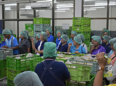 วันที่ 27 กรกฎาคม 2568 “ PLAY &amp; LEARN เพลินกับการสหกรณ์” ... พารามิเตอร์รูปภาพ 10