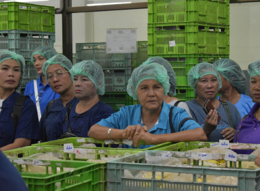 วันที่ 27 กรกฎาคม 2568 “ PLAY &amp; LEARN เพลินกับการสหกรณ์” ... พารามิเตอร์รูปภาพ 11