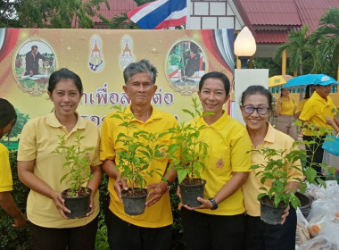 วันที่ 28 กรกฎาคม 2568 ... พารามิเตอร์รูปภาพ 13