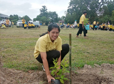 วันที่ 28 กรกฎาคม 2568 ... พารามิเตอร์รูปภาพ 15