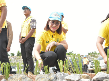 วันที่ 9 ตุลาคม 2568 จิตอาสาพัฒนา เราทำความ ดี ด้วยหัวใจ พารามิเตอร์รูปภาพ 11