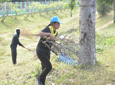 วันที่ 4 ธันวาคม 2568 จิตอาสาพัฒนา หน่วยงาน พารามิเตอร์รูปภาพ 5