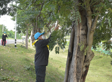 วันที่ 4 ธันวาคม 2568 จิตอาสาพัฒนา หน่วยงาน พารามิเตอร์รูปภาพ 8