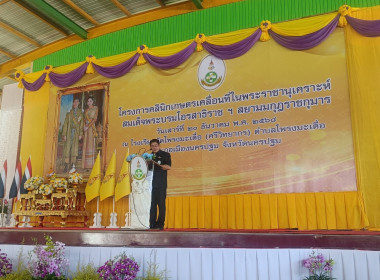 วันที่ 20 ธันวาคม 2568 ... พารามิเตอร์รูปภาพ 1