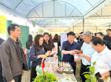 วันที่ 20 ธันวาคม 2568 ... พารามิเตอร์รูปภาพ 9